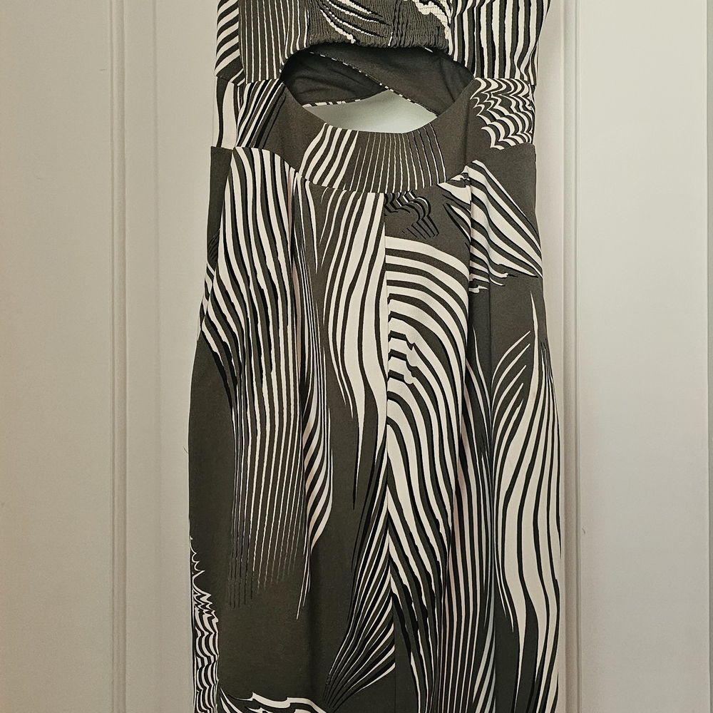 Express Black and White Striped Dress